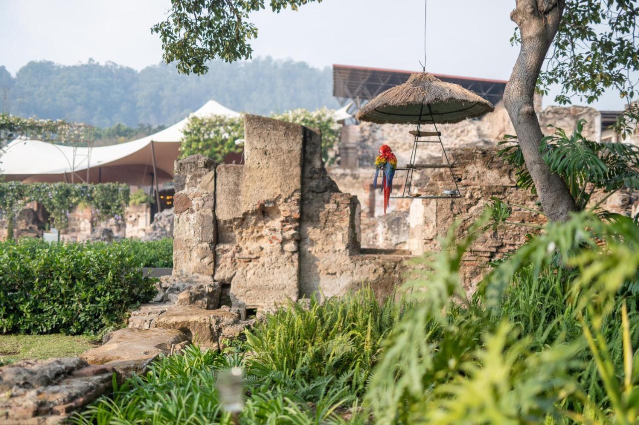 호텔 무제오 카사 산토 도밍고 안티구아 과테말라 외부 사진 The ruins of the old zoo